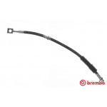 BREMBO Bremsschlauch