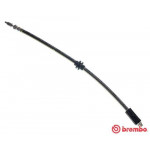 BREMBO Bremsschlauch