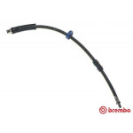 BREMBO Bremsschlauch