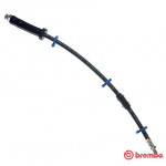 BREMBO Bremsschlauch