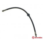 BREMBO Bremsschlauch