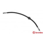 BREMBO Bremsschlauch