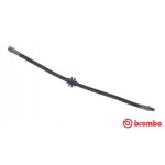 BREMBO Bremsschlauch