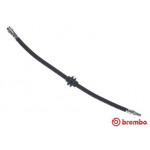 BREMBO Bremsschlauch