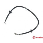 BREMBO Bremsschlauch