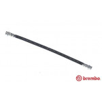 BREMBO Bremsschlauch