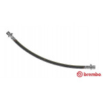 BREMBO Bremsschlauch