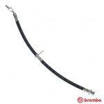 BREMBO Bremsschlauch