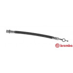 BREMBO Bremsschlauch