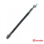 BREMBO Bremsschlauch