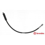 BREMBO Bremsschlauch