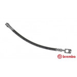 BREMBO Bremsschlauch