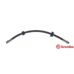 BREMBO Bremsschlauch