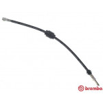 BREMBO Bremsschlauch