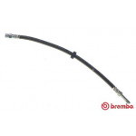BREMBO Bremsschlauch