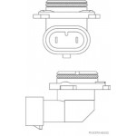 HERTH+BUSS ELPARTS Glühlampe, Hauptscheinwerfer