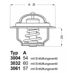 BorgWarner (Wahler) Thermostat, Kühlmittel