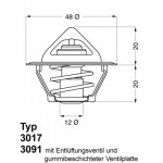 BorgWarner (Wahler) Thermostat, Kühlmittel