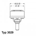 BorgWarner (Wahler) Thermostat, Kühlmittel