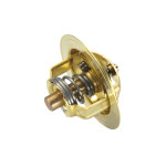 BorgWarner (Wahler) Thermostat, Kühlmittel