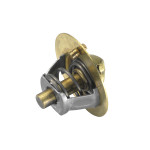 BorgWarner (Wahler) Thermostat, Kühlmittel