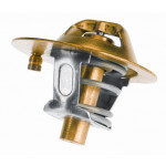 BorgWarner (Wahler) Thermostat, Kühlmittel