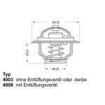BorgWarner (Wahler) Thermostat, Kühlmittel