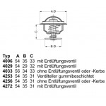 BorgWarner (Wahler) Thermostat, Kühlmittel