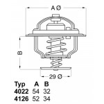 BorgWarner (Wahler) Thermostat, Kühlmittel