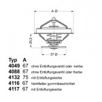 BorgWarner (Wahler) Thermostat, Kühlmittel