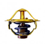 BorgWarner (Wahler) Thermostat, Kühlmittel