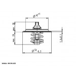 BorgWarner (Wahler) Thermostat, Kühlmittel