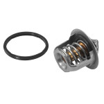 BorgWarner (Wahler) Thermostat, Kühlmittel