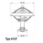 BorgWarner (Wahler) Thermostat, Kühlmittel