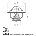 BorgWarner (Wahler) Thermostat, Kühlmittel