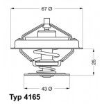 BorgWarner (Wahler) Thermostat, Kühlmittel