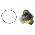 BorgWarner (Wahler) Thermostat, Kühlmittel