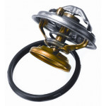 BorgWarner (Wahler) Thermostat, Kühlmittel