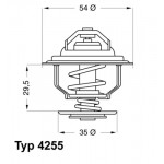 BorgWarner (Wahler) Thermostat, Kühlmittel