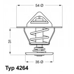 BorgWarner (Wahler) Thermostat, Kühlmittel