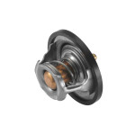 BorgWarner (Wahler) Thermostat, Kühlmittel
