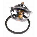 BorgWarner (Wahler) Thermostat, Kühlmittel