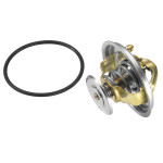 BorgWarner (Wahler) Thermostat, Kühlmittel