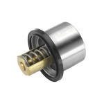 BorgWarner (Wahler) Thermostat, Kühlmittel