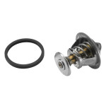 BorgWarner (Wahler) Thermostat, Kühlmittel