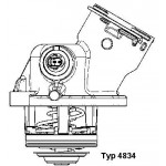 BorgWarner (Wahler) Thermostat, Kühlmittel