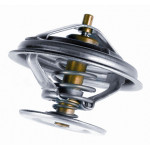 BorgWarner (Wahler) Thermostat, Kühlmittel