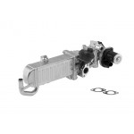 BorgWarner (Wahler) AGR-Modul