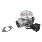 BorgWarner (Wahler) AGR-Ventil