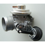 BorgWarner (Wahler) AGR-Ventil